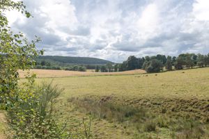 Photo 27- click for photo gallery